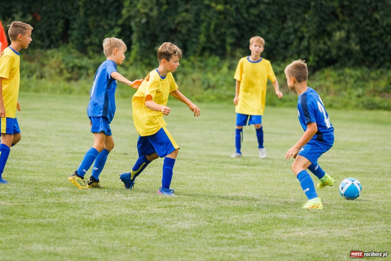 Zdjęcie w galerii na portalu naszraciborz.pl: IX edycja turnieju im. Zbigniewa Oszka za nami [FOTO] wiadomości z regionu