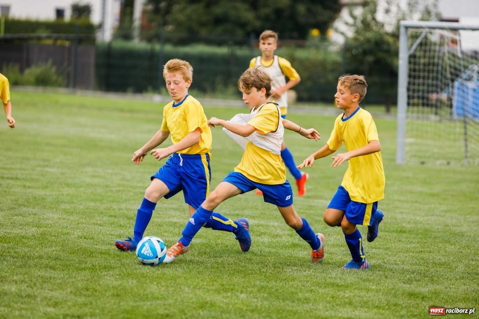 Zdjęcie w galerii na portalu naszraciborz.pl: IX edycja turnieju im. Zbigniewa Oszka za nami [FOTO] wiadomości z regionu