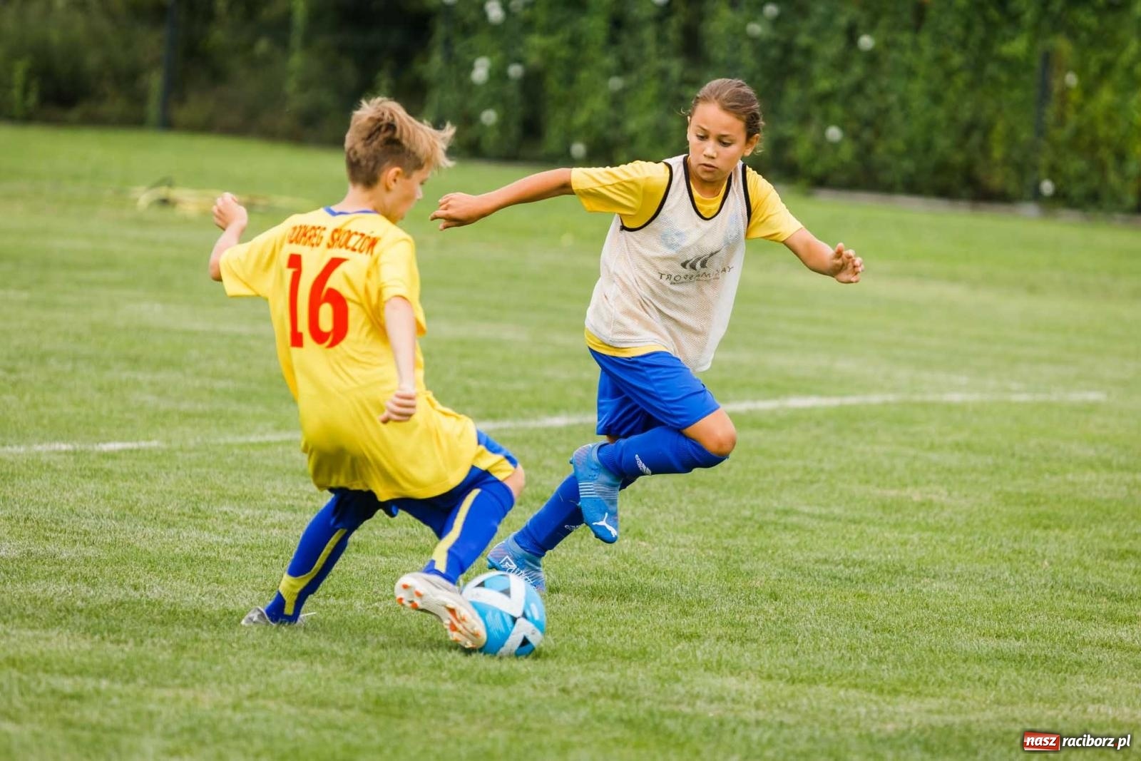 Zdjęcie w galerii na portalu naszraciborz.pl: IX edycja turnieju im. Zbigniewa Oszka za nami [FOTO] wiadomości z regionu