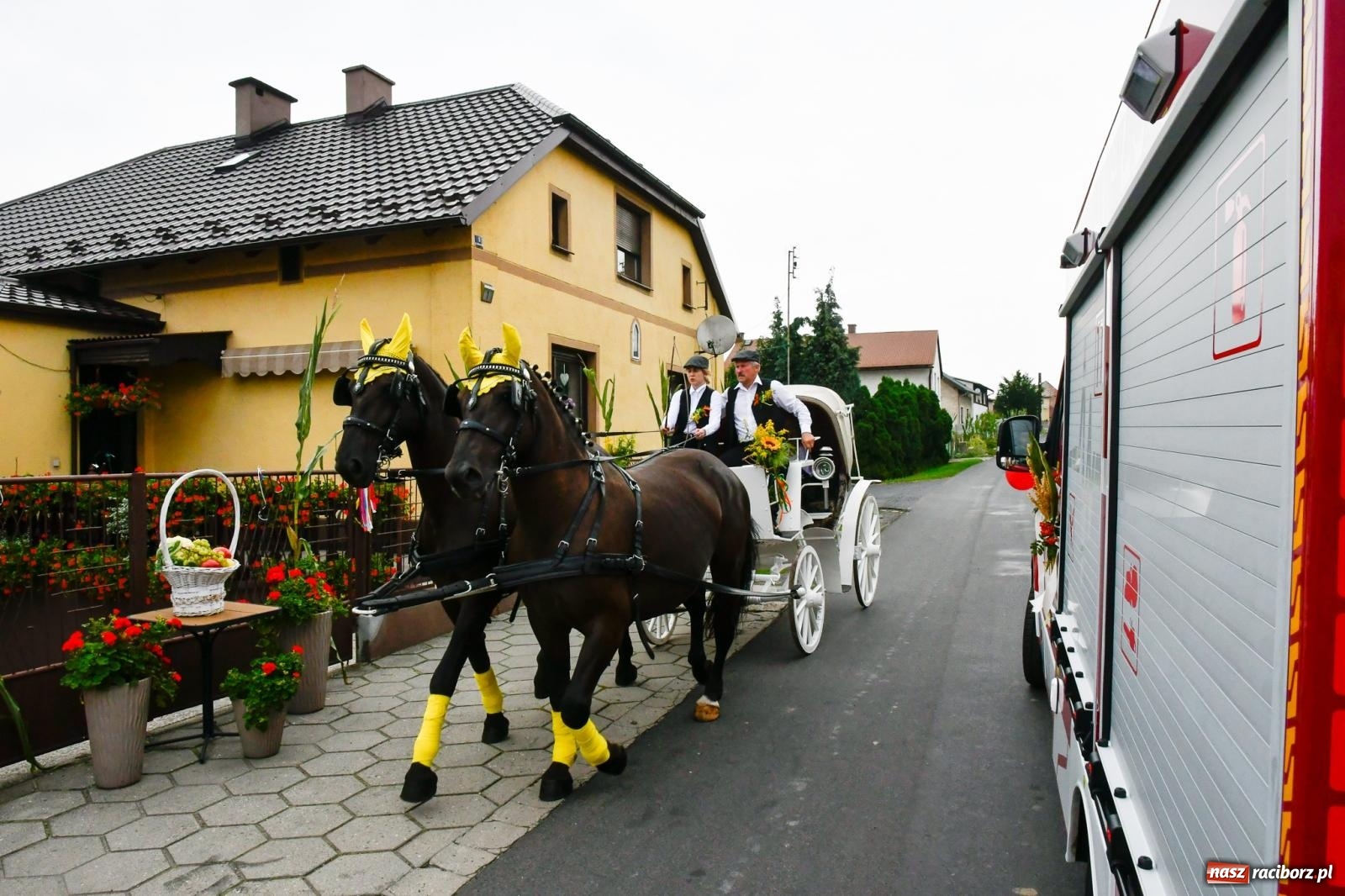 Zdjęcie w galerii na portalu naszraciborz.pl: Barwny korowód przejechał z Krowiarek do Amandowa [FOTO i WIDEO] wiadomości z regionu