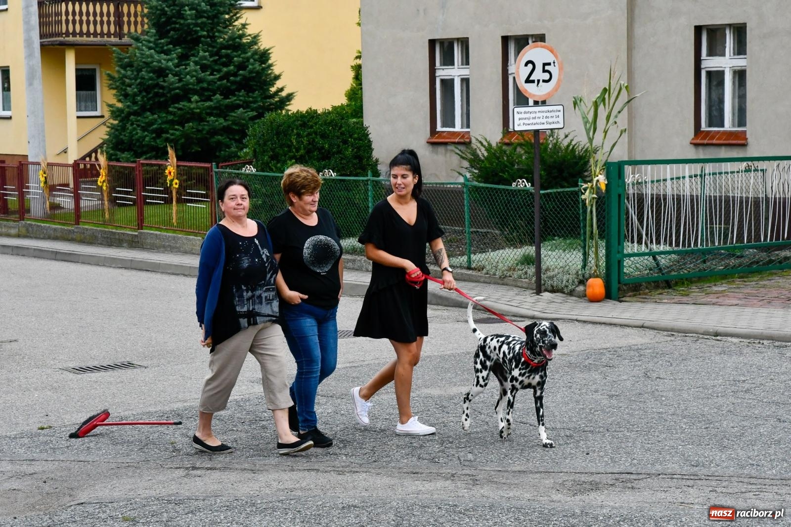 Zdjęcie w galerii na portalu naszraciborz.pl: Barwny korowód przejechał z Krowiarek do Amandowa [FOTO i WIDEO] wiadomości z regionu
