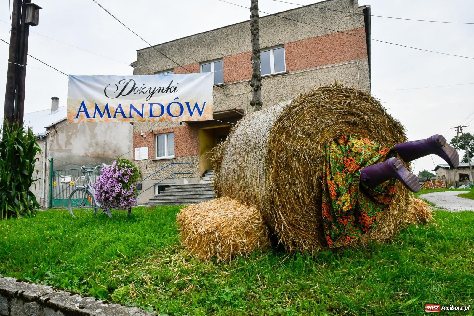 Zdjęcie w galerii na portalu naszraciborz.pl: Barwny korowód przejechał z Krowiarek do Amandowa [FOTO i WIDEO] wiadomości z regionu