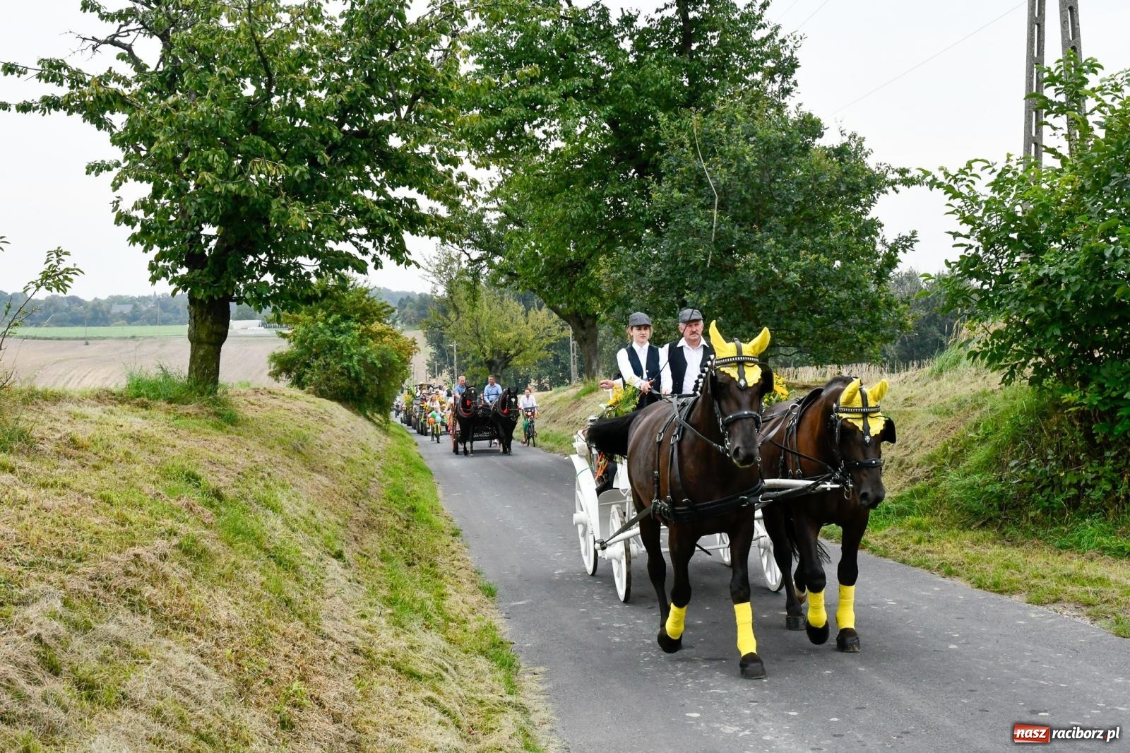 Zdjęcie w galerii na portalu naszraciborz.pl: Barwny korowód przejechał z Krowiarek do Amandowa [FOTO i WIDEO] wiadomości z regionu