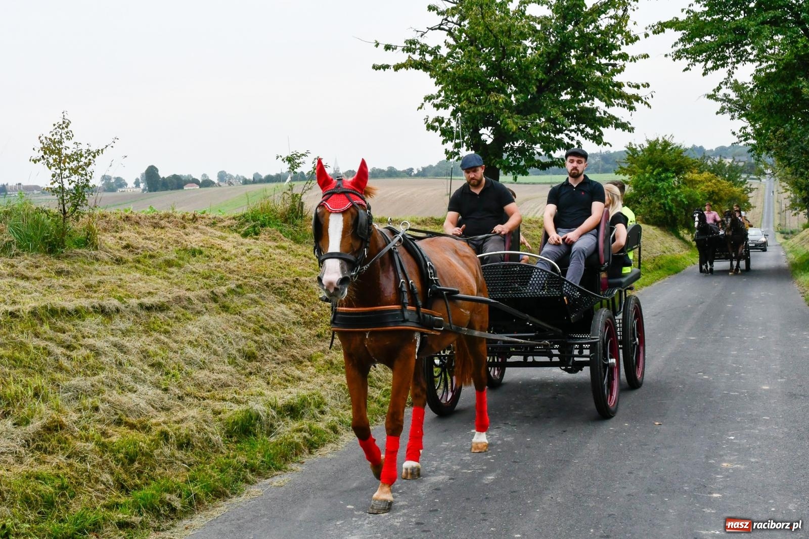 Zdjęcie w galerii na portalu naszraciborz.pl: Barwny korowód przejechał z Krowiarek do Amandowa [FOTO i WIDEO] wiadomości z regionu