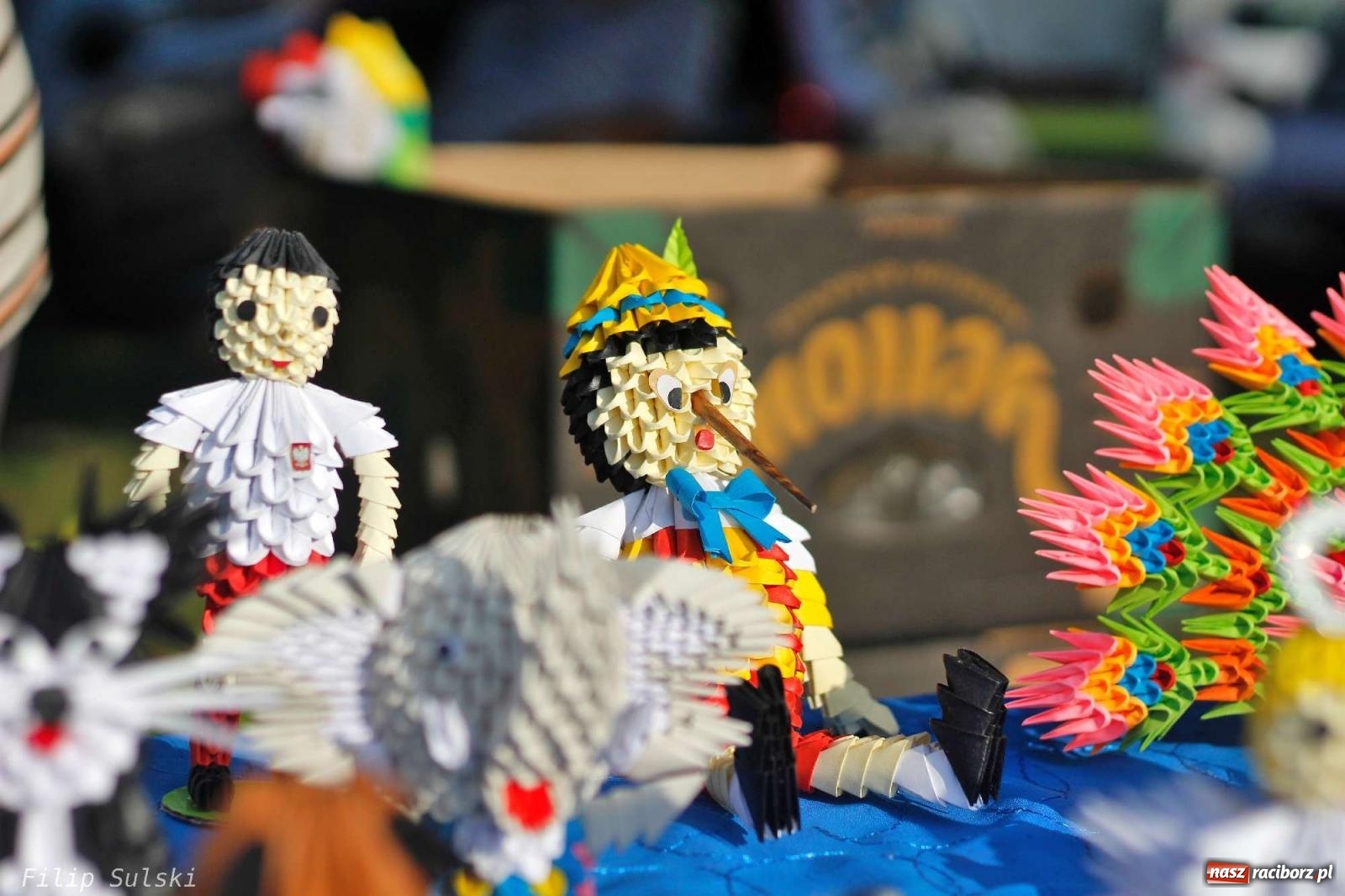 Zdjęcie w galerii na portalu naszraciborz.pl: Po co wyrzucać! Innym może się przydać wiadomości z regionu