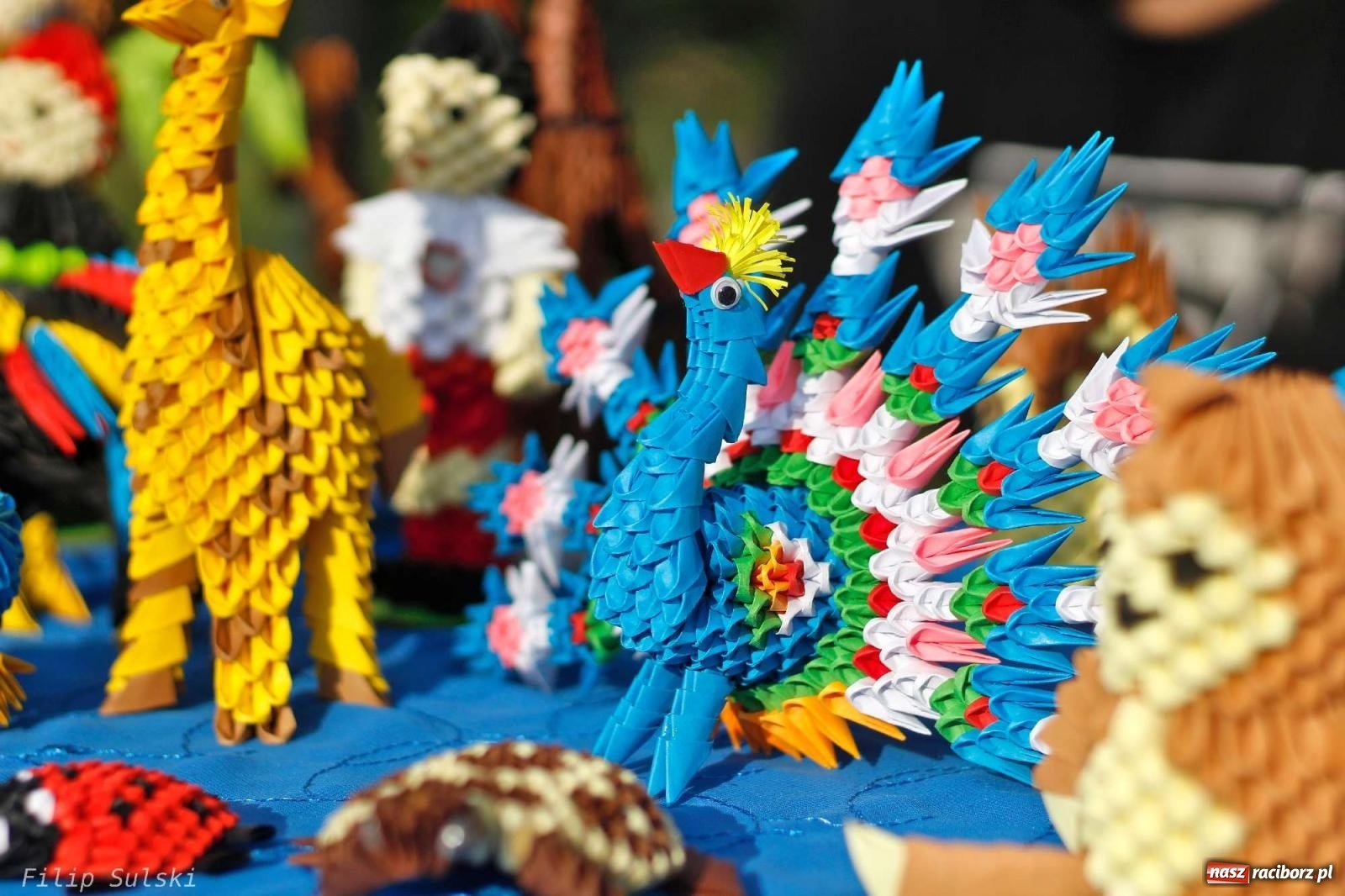 Zdjęcie w galerii na portalu naszraciborz.pl: Po co wyrzucać! Innym może się przydać wiadomości z regionu