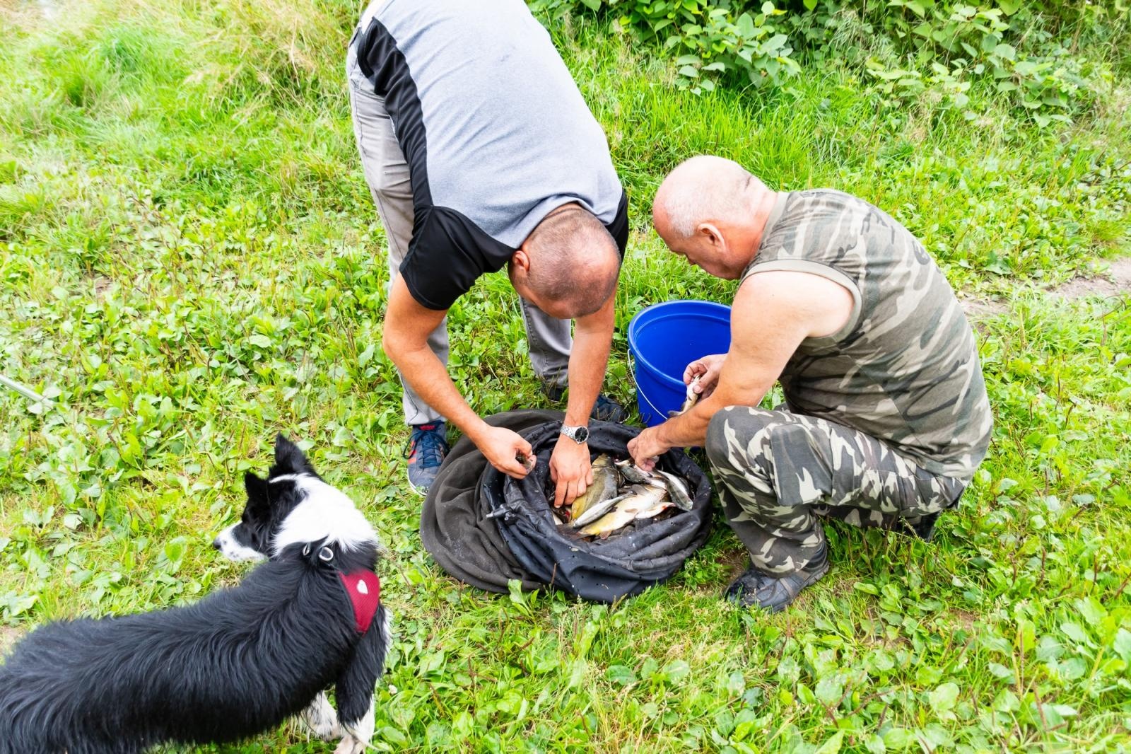 Zdjęcie w galerii na portalu naszraciborz.pl: Taaka ryba! Zawody wędkarskie koła COBEX SGL Racibórz na Dużej Wodzie w Łęgu wiadomości z regionu