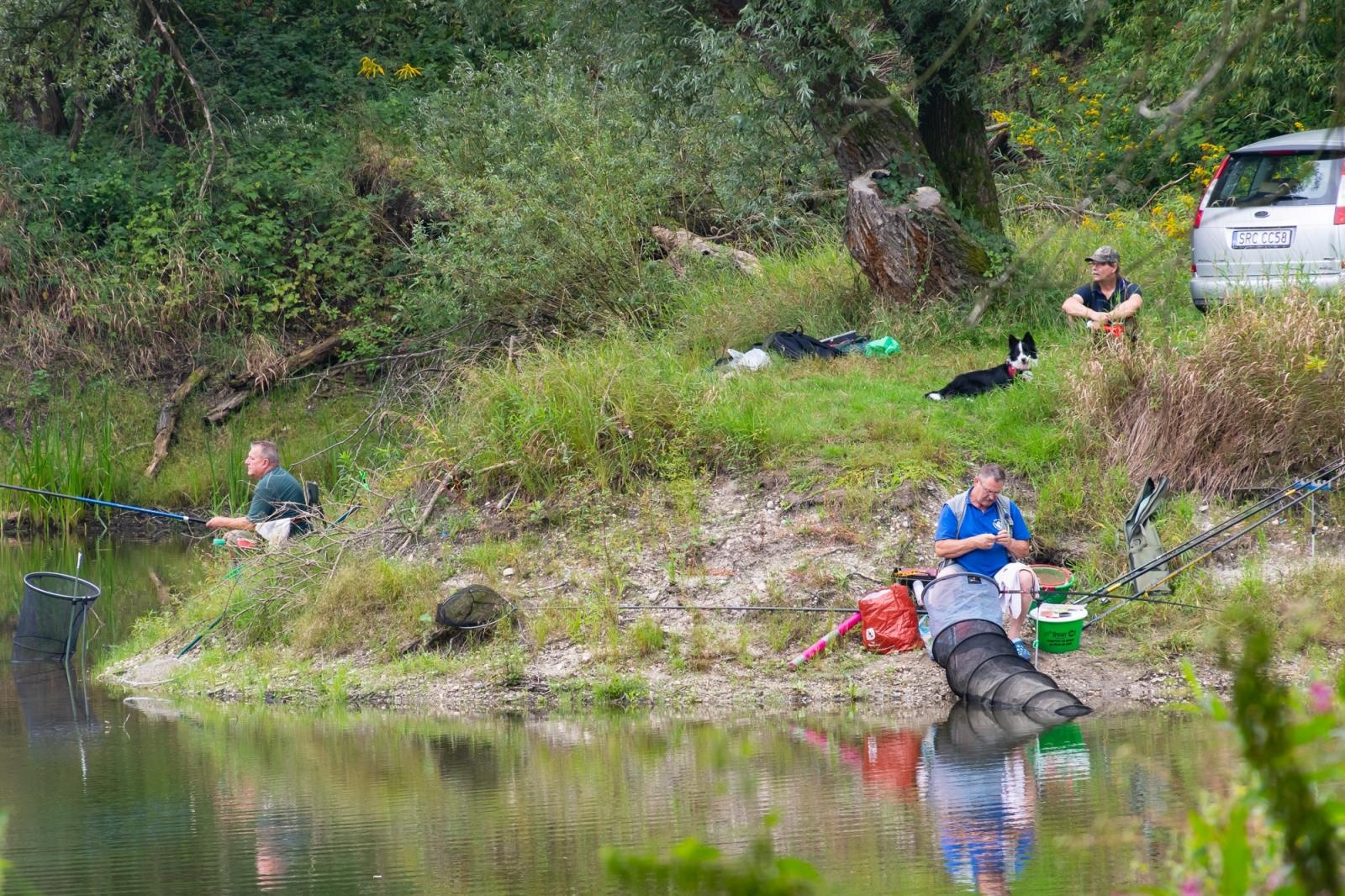 Zdjęcie w galerii na portalu naszraciborz.pl: Taaka ryba! Zawody wędkarskie koła COBEX SGL Racibórz na Dużej Wodzie w Łęgu wiadomości z regionu