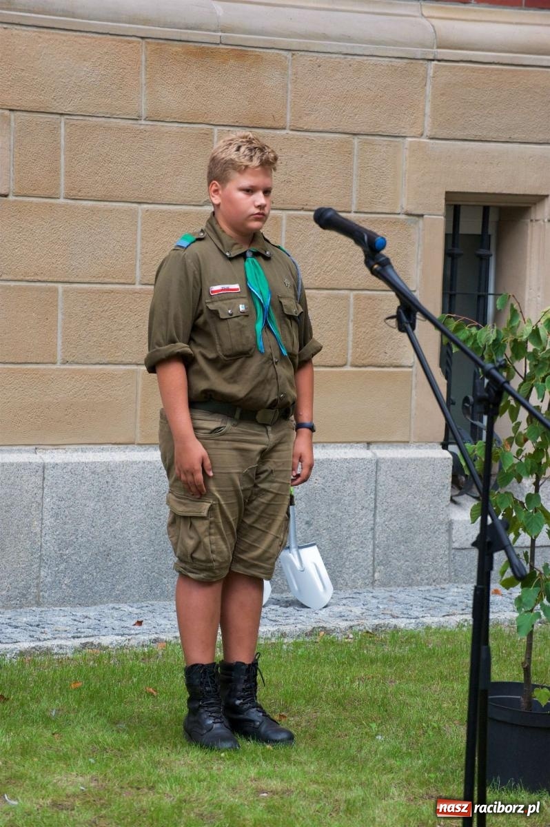 Zdjęcie w galerii na portalu naszraciborz.pl: Przed sądem w Raciborzu posadzono lipę marszałka Piłsudskiego [FOTO i WIDEO] wiadomości z regionu