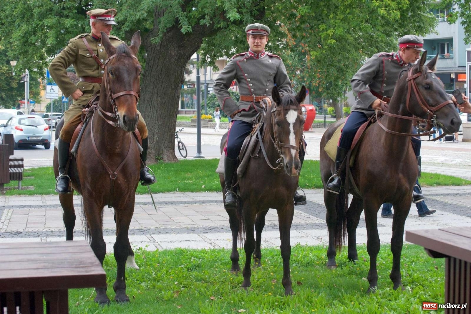 Zdjęcie w galerii na portalu naszraciborz.pl: Przed sądem w Raciborzu posadzono lipę marszałka Piłsudskiego [FOTO i WIDEO] wiadomości z regionu