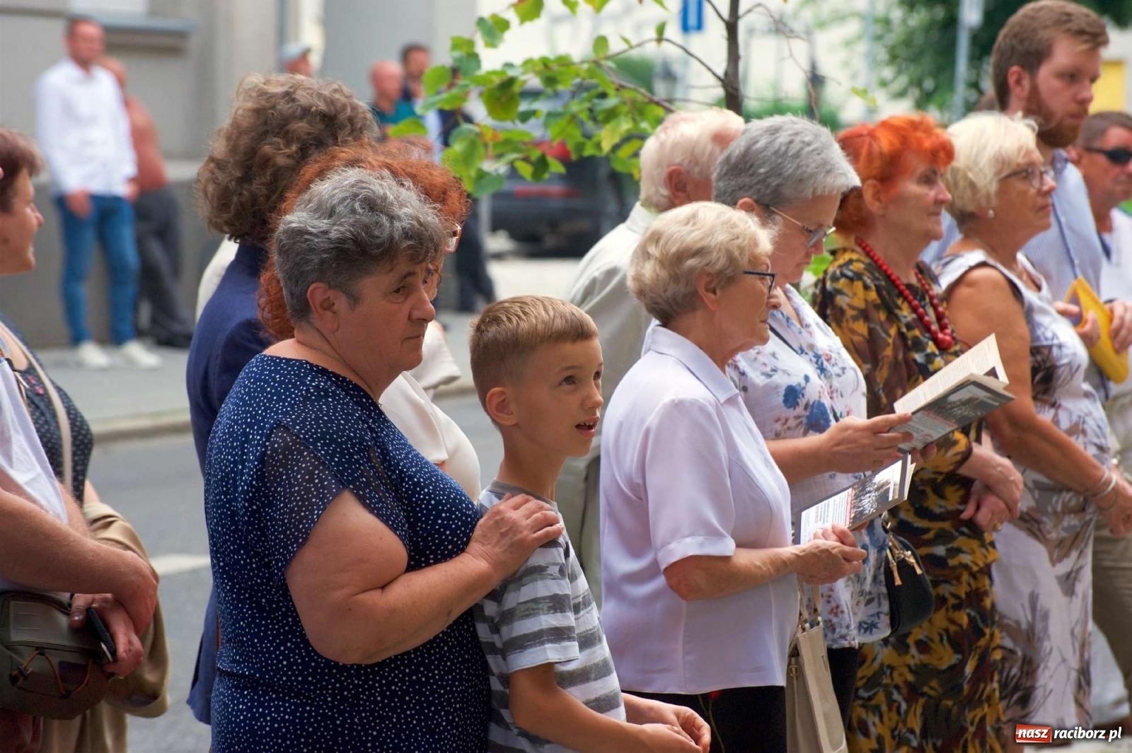 Zdjęcie w galerii na portalu naszraciborz.pl: Przed sądem w Raciborzu posadzono lipę marszałka Piłsudskiego [FOTO i WIDEO] wiadomości z regionu