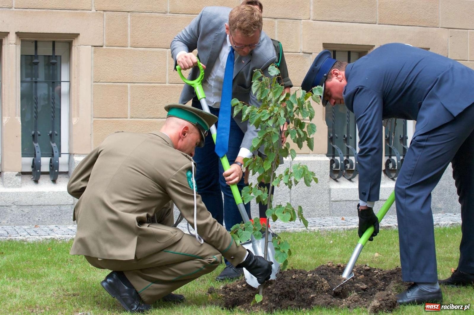 Zdjęcie w galerii na portalu naszraciborz.pl: Przed sądem w Raciborzu posadzono lipę marszałka Piłsudskiego [FOTO i WIDEO] wiadomości z regionu