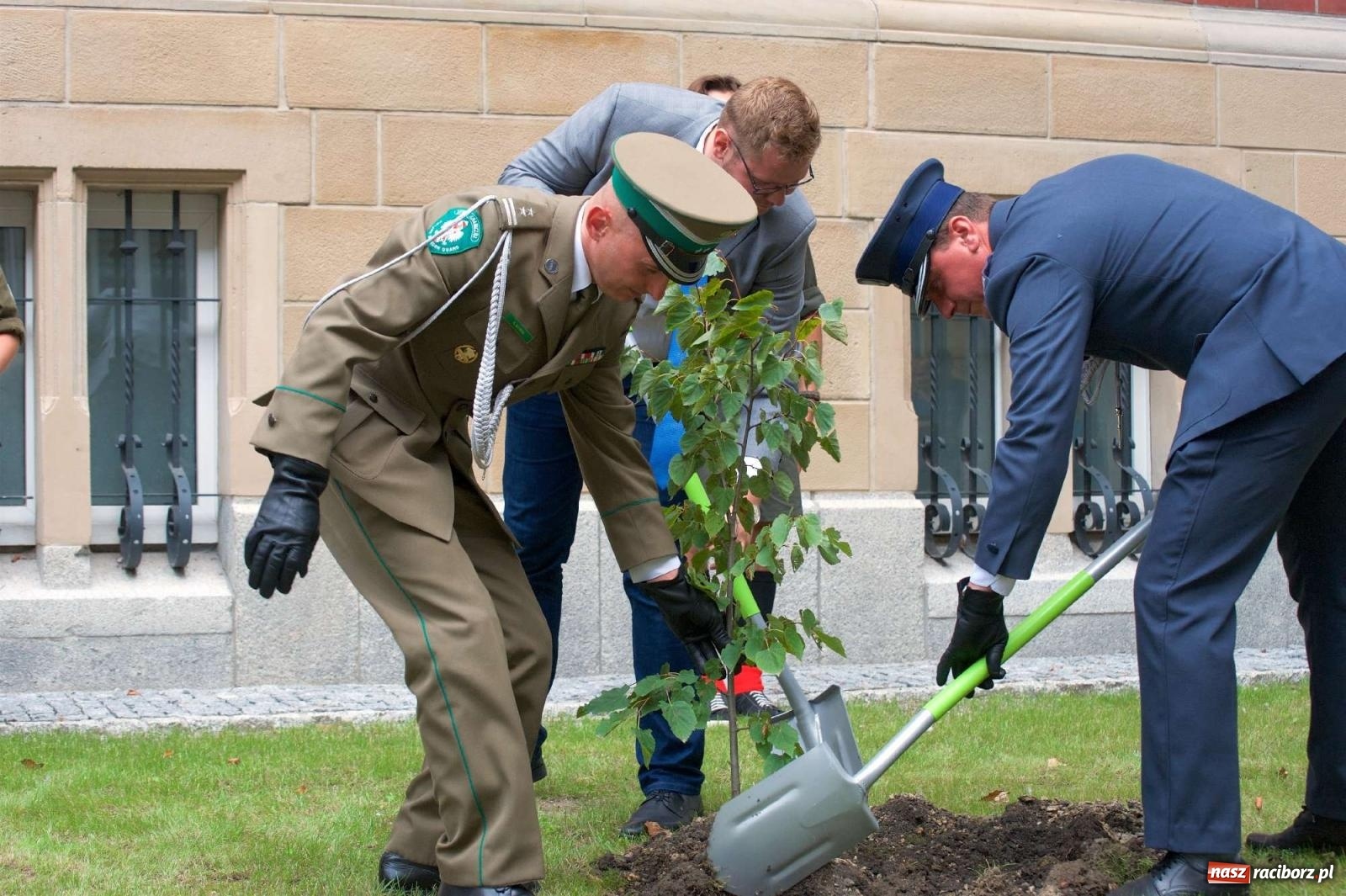 Zdjęcie w galerii na portalu naszraciborz.pl: Przed sądem w Raciborzu posadzono lipę marszałka Piłsudskiego [FOTO i WIDEO] wiadomości z regionu