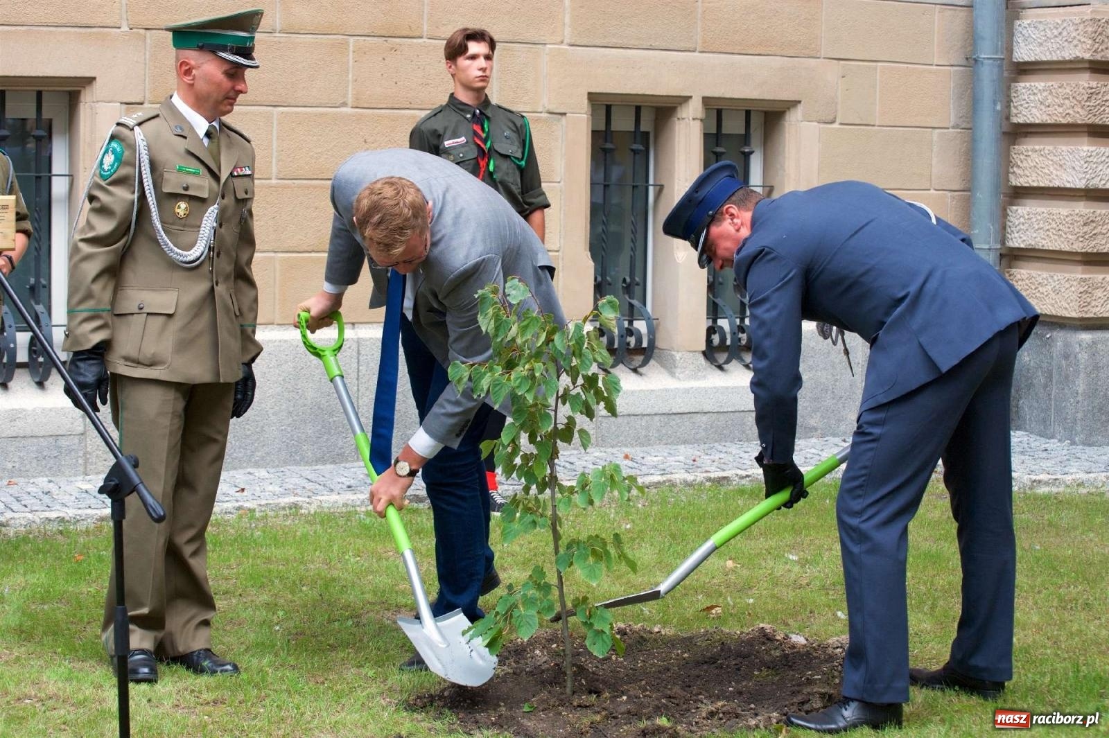 Zdjęcie w galerii na portalu naszraciborz.pl: Przed sądem w Raciborzu posadzono lipę marszałka Piłsudskiego [FOTO i WIDEO] wiadomości z regionu