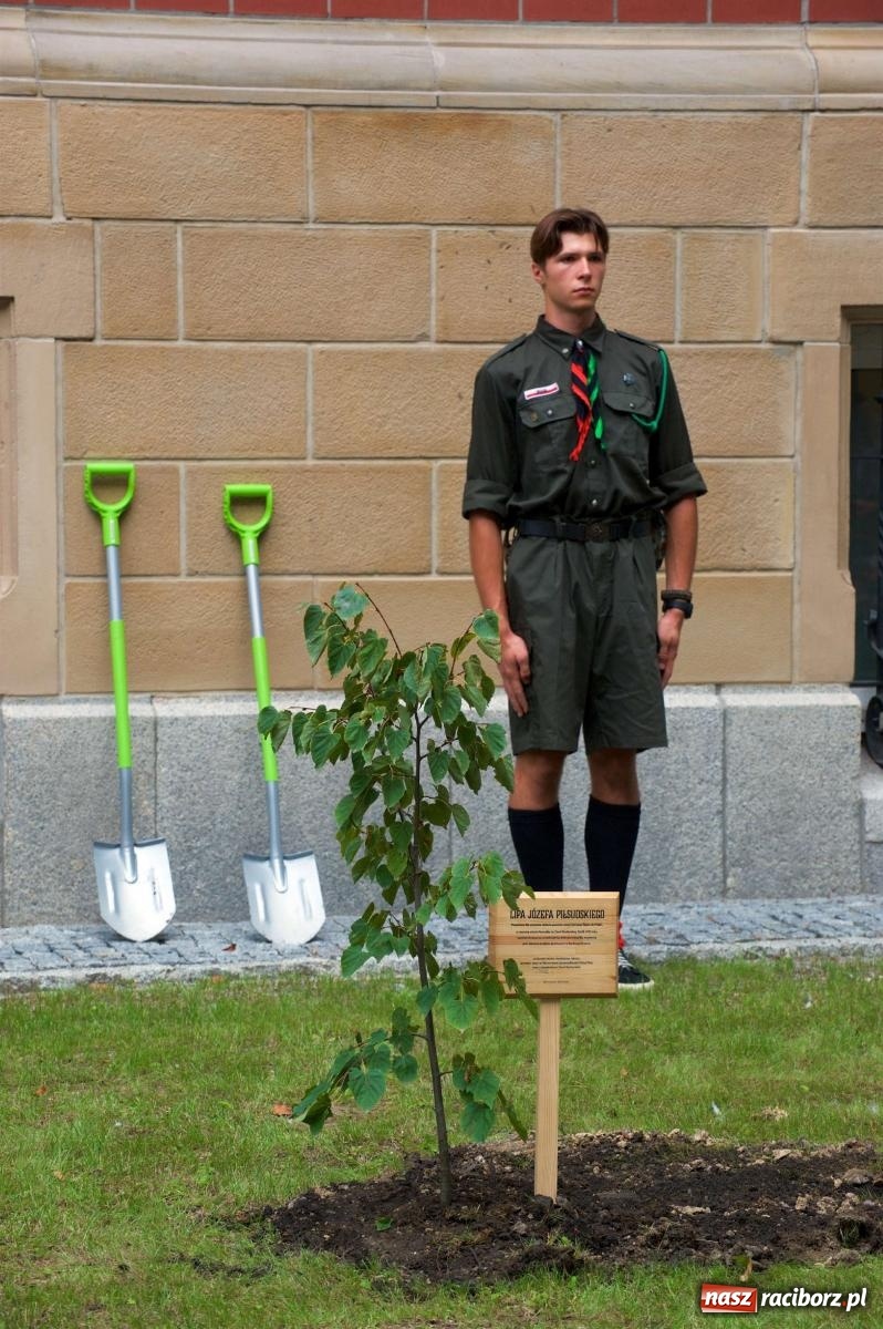 Zdjęcie w galerii na portalu naszraciborz.pl: Przed sądem w Raciborzu posadzono lipę marszałka Piłsudskiego [FOTO i WIDEO] wiadomości z regionu
