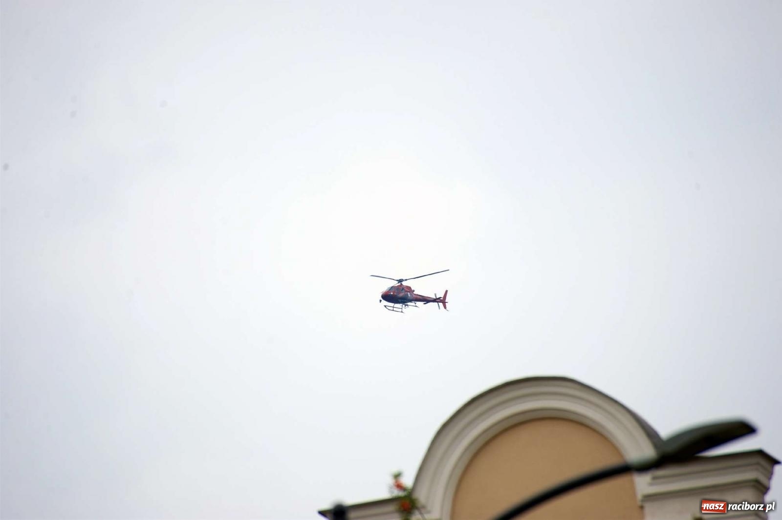 Zdjęcie w galerii na portalu naszraciborz.pl: Przed sądem w Raciborzu posadzono lipę marszałka Piłsudskiego [FOTO i WIDEO] wiadomości z regionu