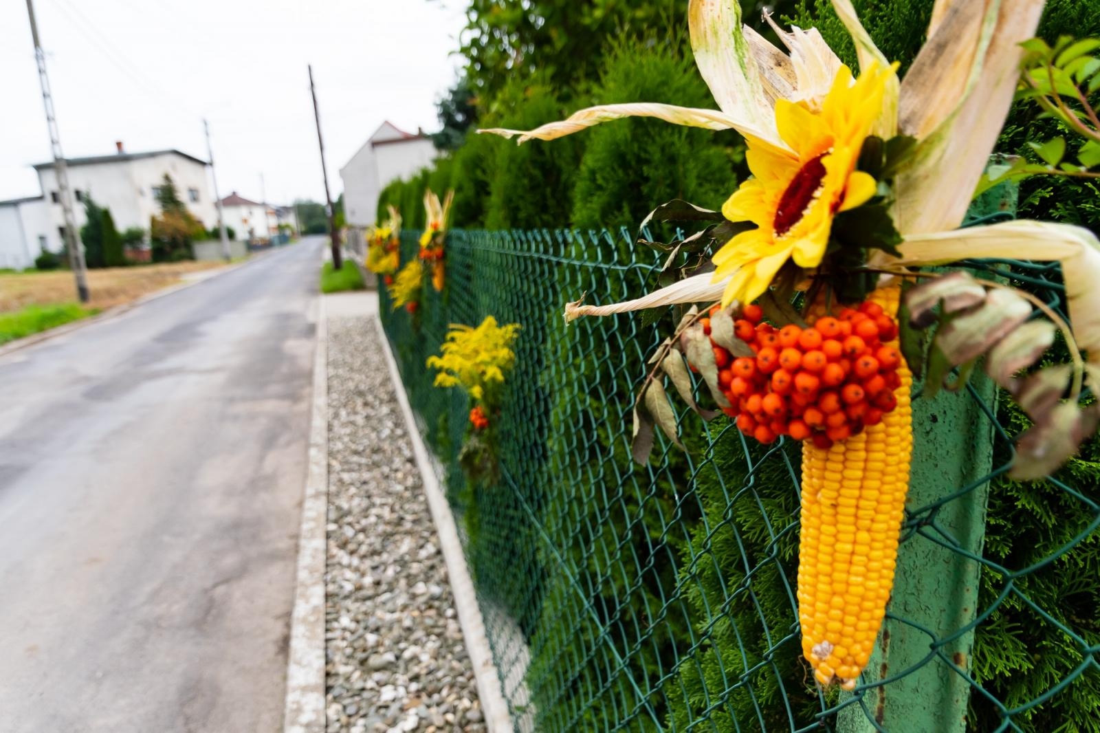 Zdjęcie w galerii na portalu naszraciborz.pl: Dożynki w Cyprzanowie. Kameralnie, religijnie i rodzinnie wiadomości z regionu