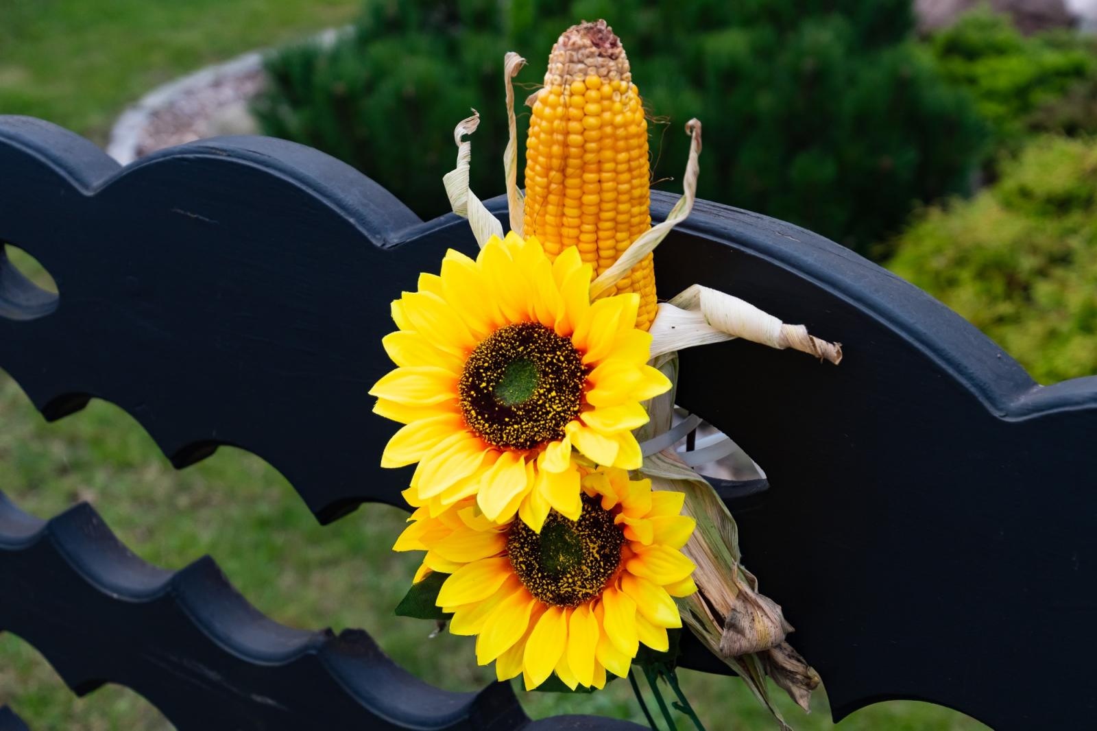 Zdjęcie w galerii na portalu naszraciborz.pl: Dożynki w Cyprzanowie. Kameralnie, religijnie i rodzinnie wiadomości z regionu