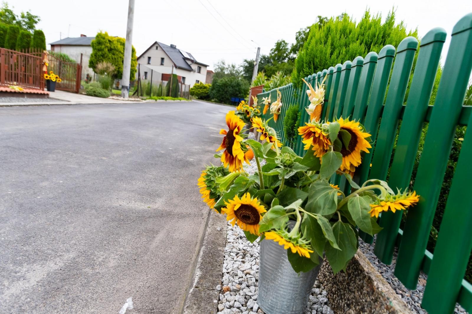 Zdjęcie w galerii na portalu naszraciborz.pl: Dożynki w Cyprzanowie. Kameralnie, religijnie i rodzinnie wiadomości z regionu