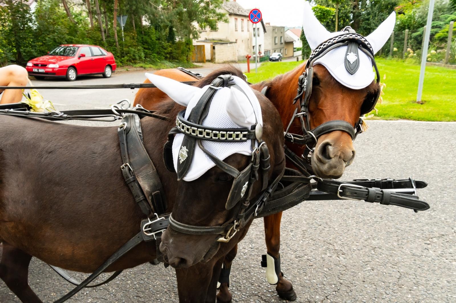 Zdjęcie w galerii na portalu naszraciborz.pl: Dożynki w Cyprzanowie. Kameralnie, religijnie i rodzinnie wiadomości z regionu