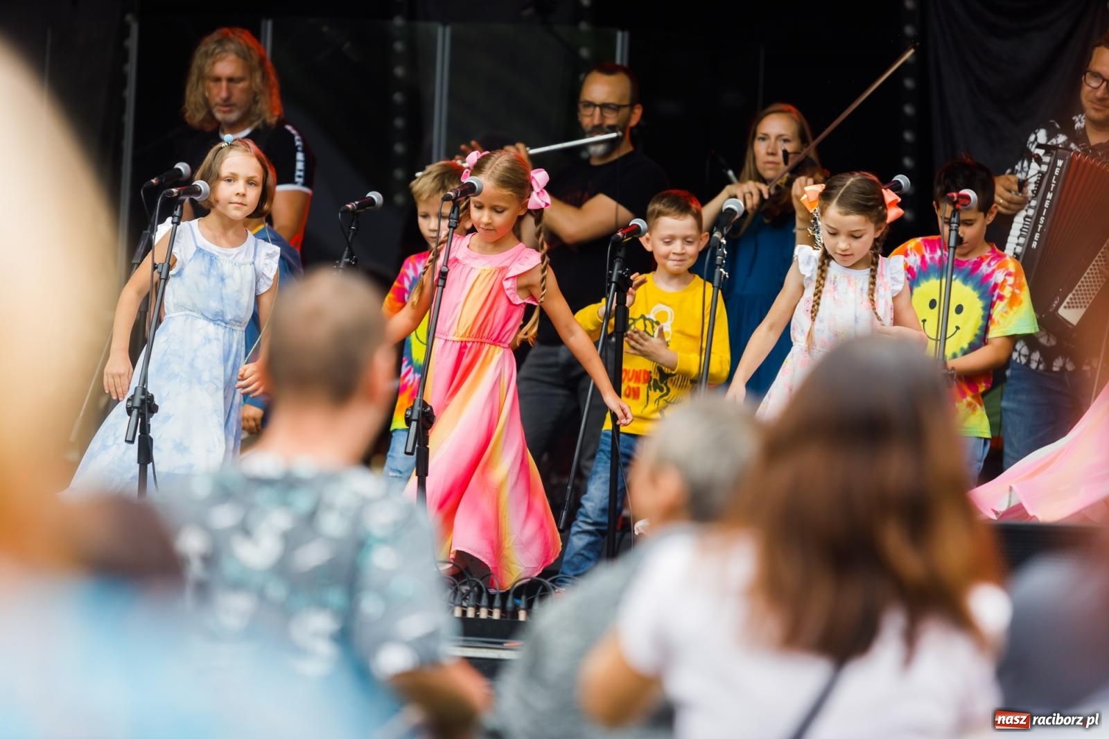 Zdjęcie w galerii na portalu naszraciborz.pl: Arka Noego na pikniku w Raciborzu wiadomości z regionu