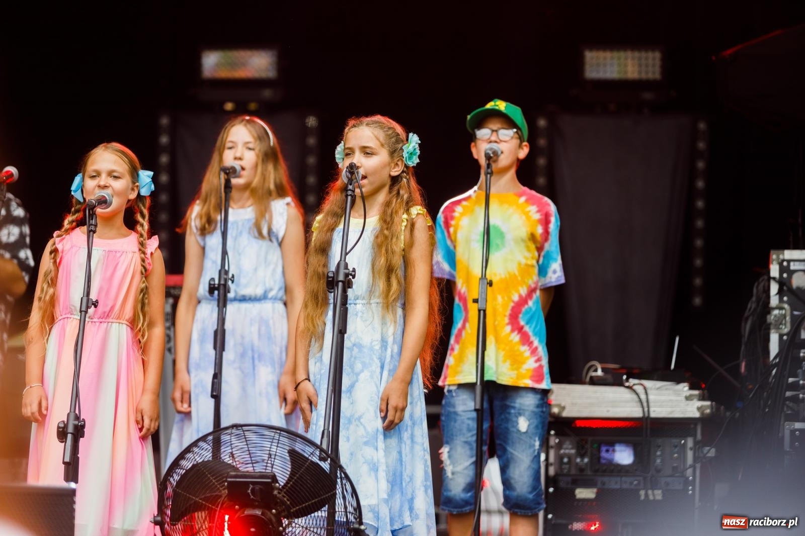 Zdjęcie w galerii na portalu naszraciborz.pl: Arka Noego na pikniku w Raciborzu wiadomości z regionu