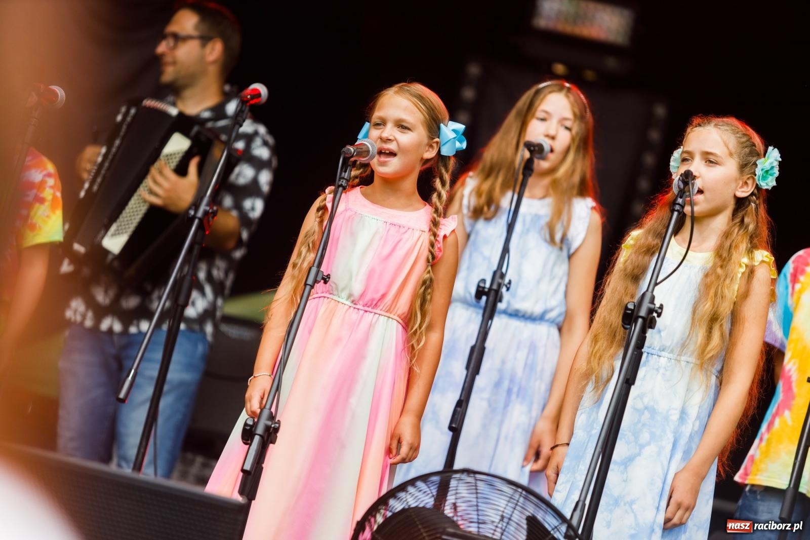 Zdjęcie w galerii na portalu naszraciborz.pl: Arka Noego na pikniku w Raciborzu wiadomości z regionu