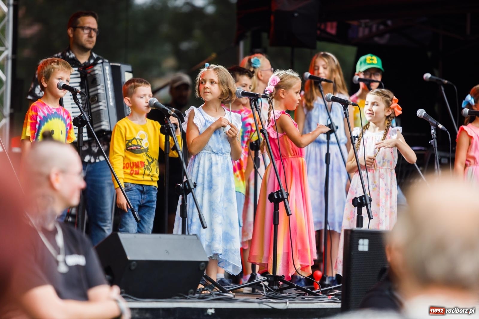 Zdjęcie w galerii na portalu naszraciborz.pl: Arka Noego na pikniku w Raciborzu wiadomości z regionu
