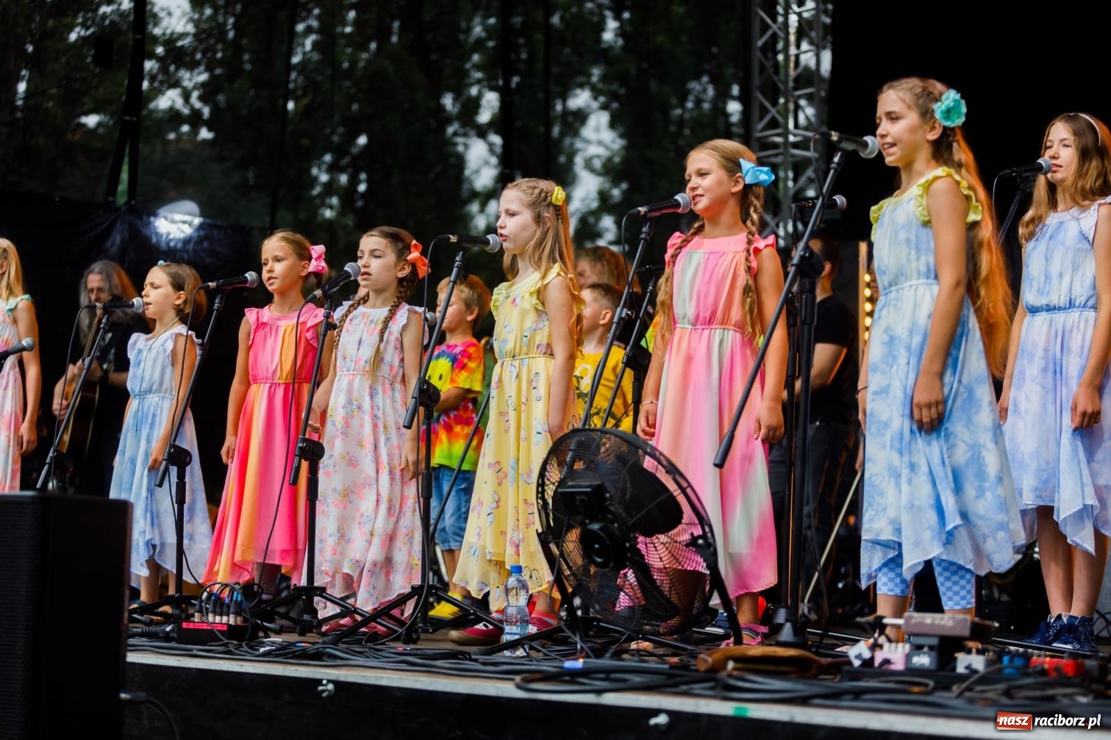 Zdjęcie w galerii na portalu naszraciborz.pl: Arka Noego na pikniku w Raciborzu wiadomości z regionu