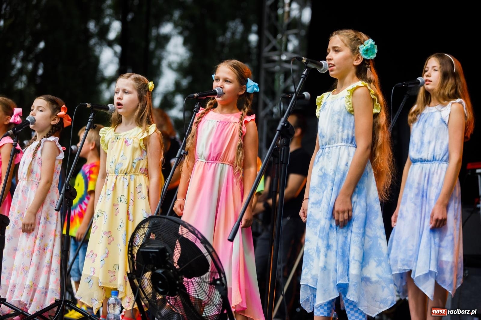 Zdjęcie w galerii na portalu naszraciborz.pl: Arka Noego na pikniku w Raciborzu wiadomości z regionu