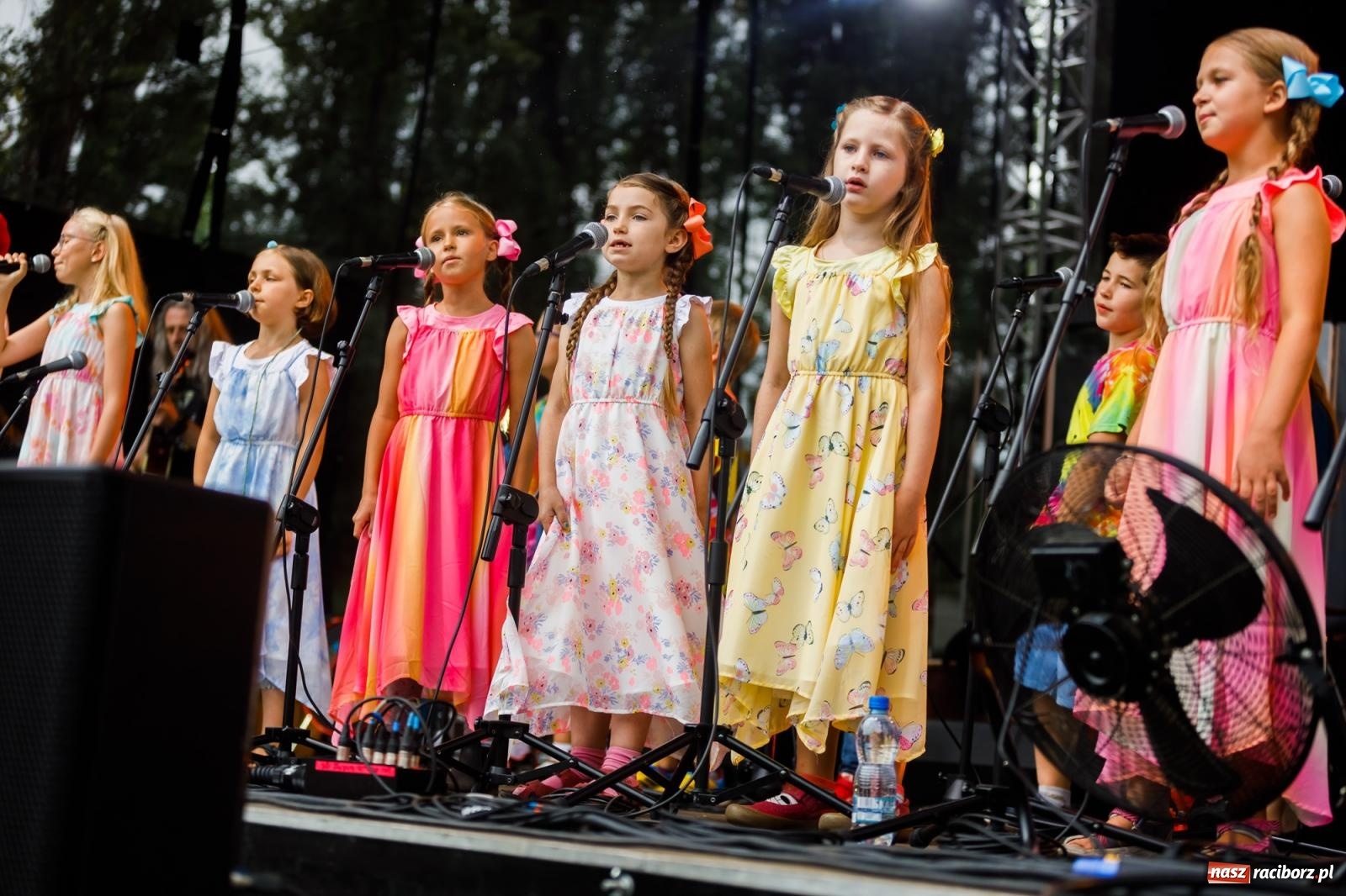 Zdjęcie w galerii na portalu naszraciborz.pl: Arka Noego na pikniku w Raciborzu wiadomości z regionu