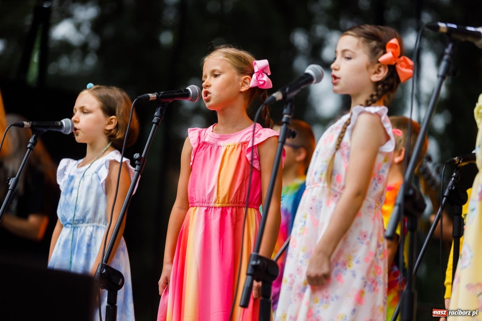 Zdjęcie w galerii na portalu naszraciborz.pl: Arka Noego na pikniku w Raciborzu wiadomości z regionu