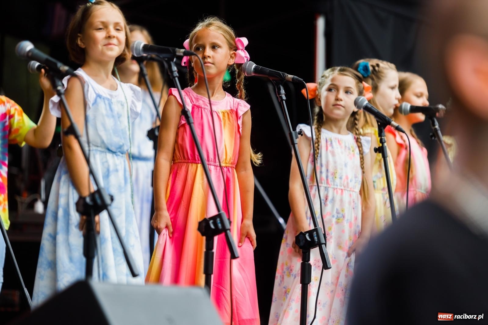 Zdjęcie w galerii na portalu naszraciborz.pl: Arka Noego na pikniku w Raciborzu wiadomości z regionu