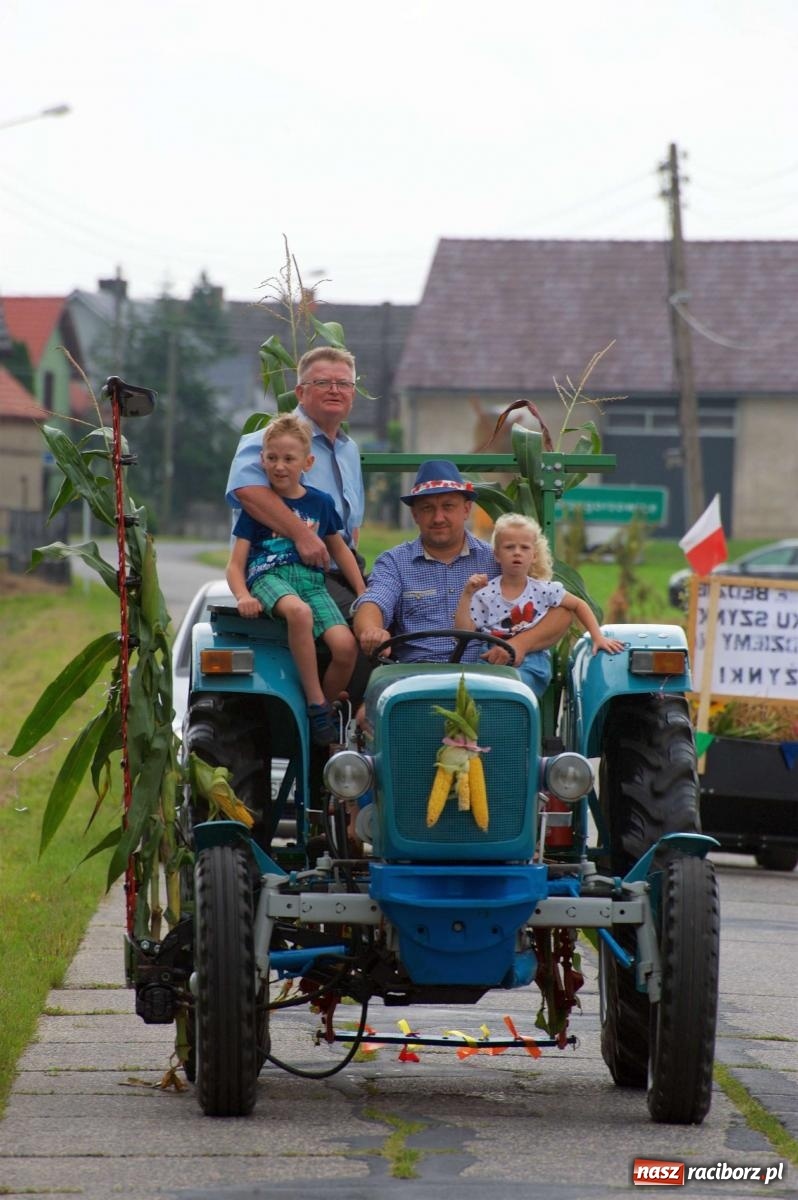 Zdjęcie w galerii na portalu naszraciborz.pl: Co tam się działo! Powiatowe święto plonów na bis [FOTO] wiadomości z regionu