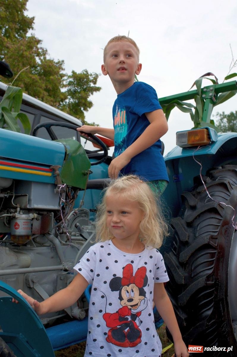Zdjęcie w galerii na portalu naszraciborz.pl: Co tam się działo! Powiatowe święto plonów na bis [FOTO] wiadomości z regionu