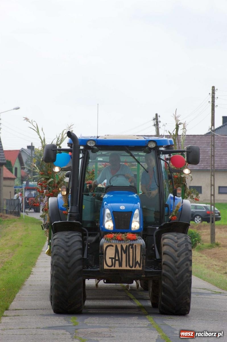 Zdjęcie w galerii na portalu naszraciborz.pl: Co tam się działo! Powiatowe święto plonów na bis [FOTO] wiadomości z regionu