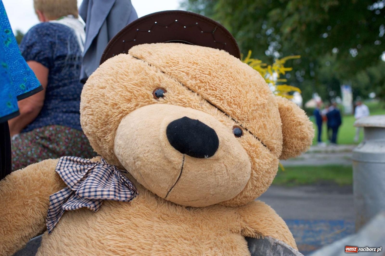 Zdjęcie w galerii na portalu naszraciborz.pl: Co tam się działo! Powiatowe święto plonów na bis [FOTO] wiadomości z regionu