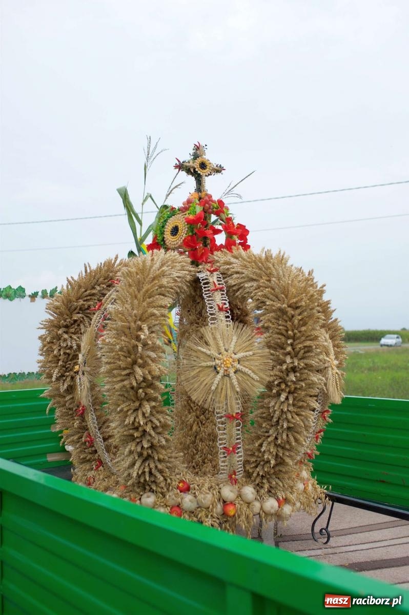 Zdjęcie w galerii na portalu naszraciborz.pl: Co tam się działo! Powiatowe święto plonów na bis [FOTO] wiadomości z regionu