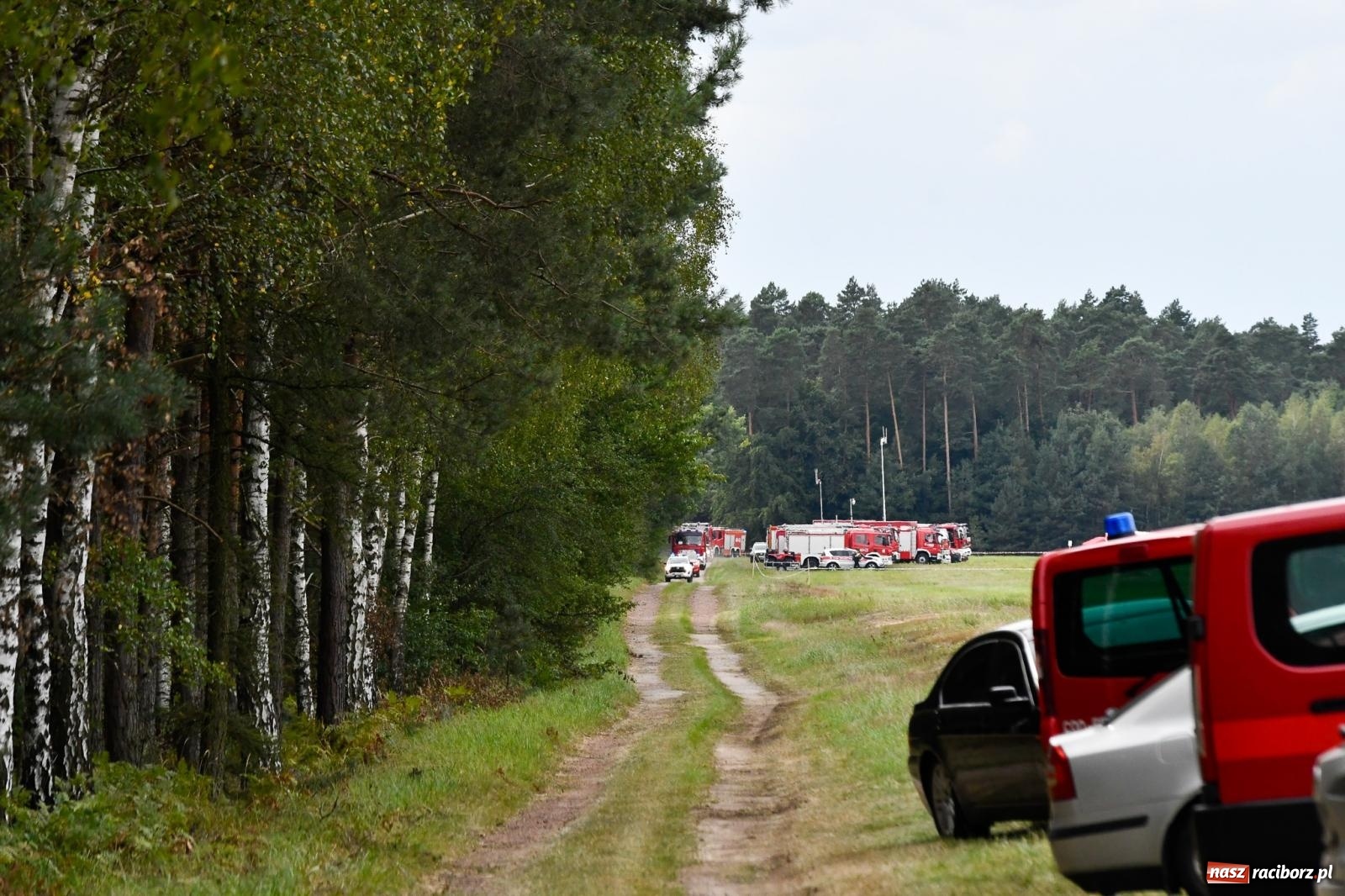Zdjęcie w galerii na portalu naszraciborz.pl: Wielkie ogólnopolskie strażackie manewry w Kuźni Raciborskiej [FOTO i WIDEO] wiadomości z regionu