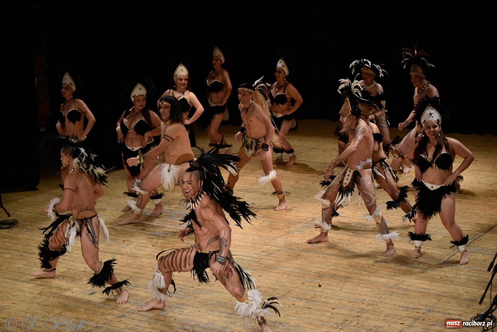 Zdjęcie w galerii na portalu naszraciborz.pl: RCK pełen żywiołów. Zespoły z Ekwadoru, Chile i Turcji w Raciborzu wiadomości z regionu