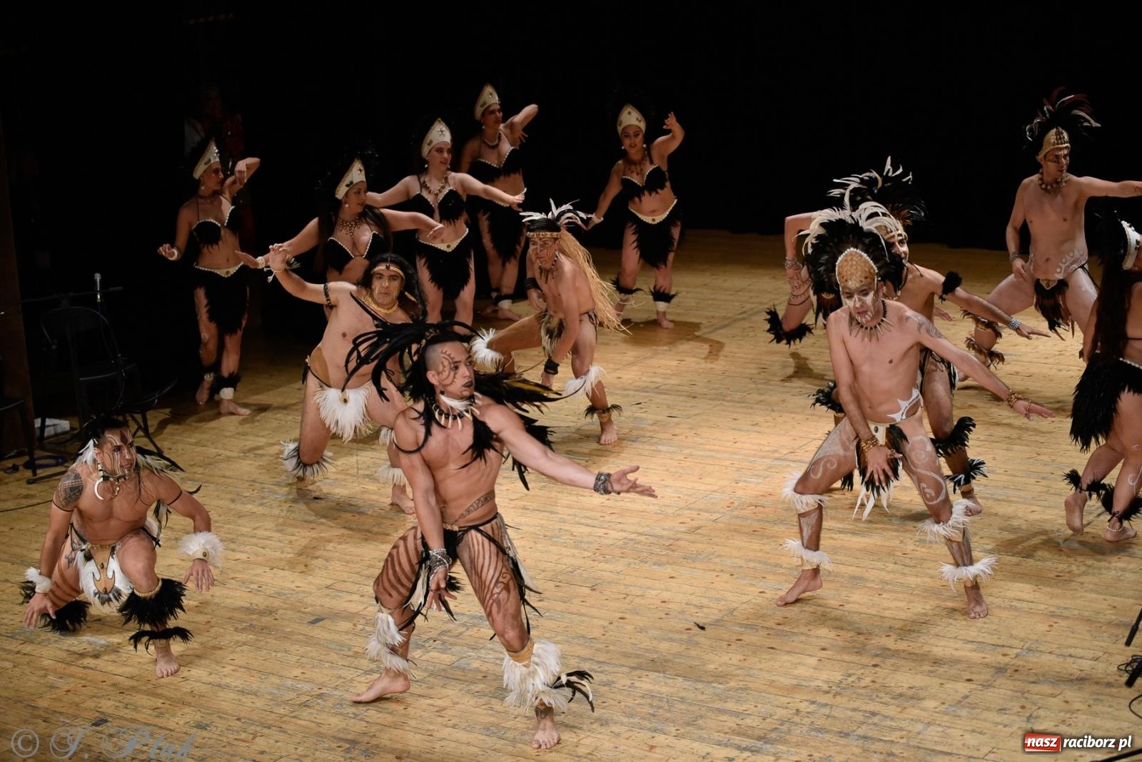 Zdjęcie w galerii na portalu naszraciborz.pl: RCK pełen żywiołów. Zespoły z Ekwadoru, Chile i Turcji w Raciborzu wiadomości z regionu