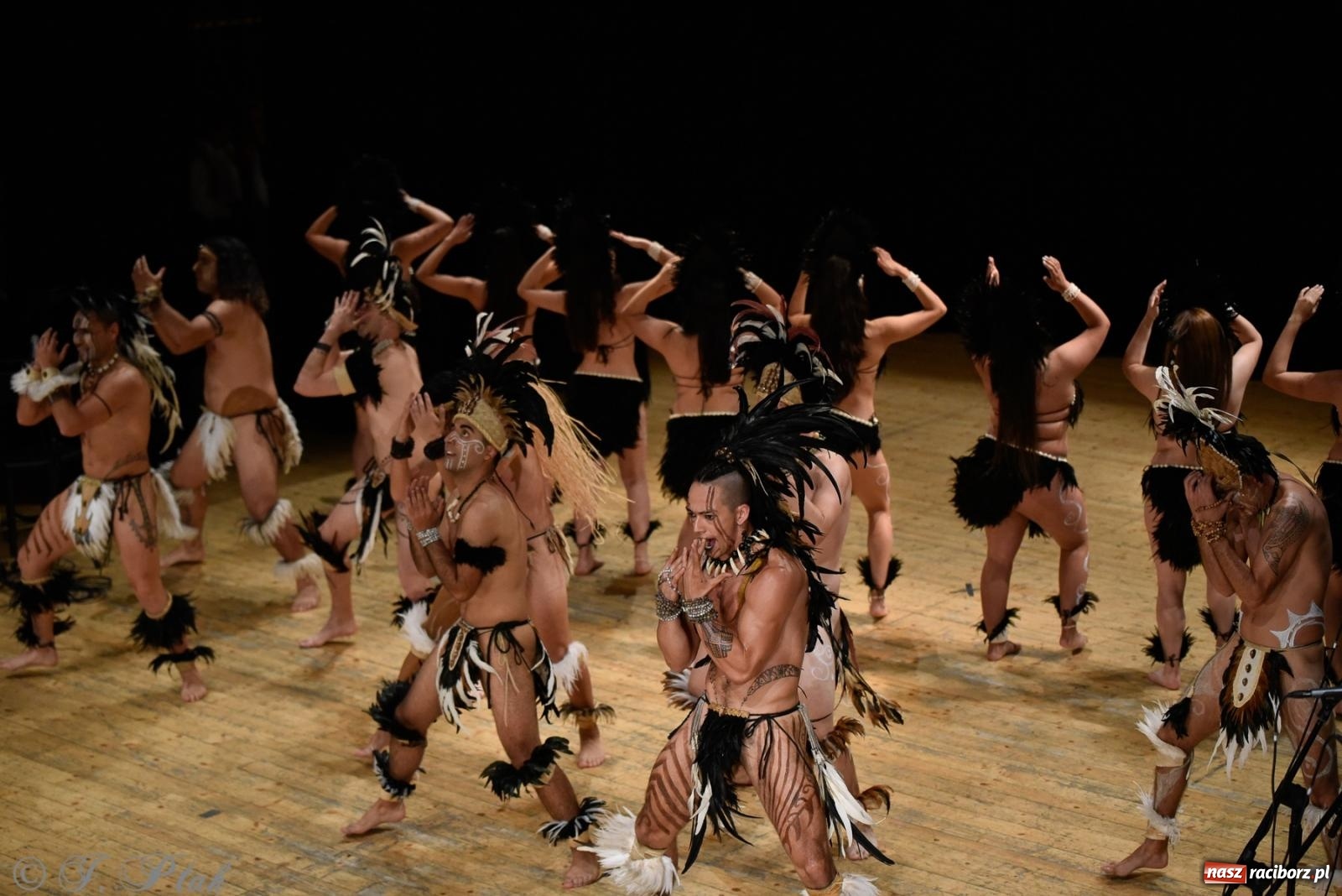 Zdjęcie w galerii na portalu naszraciborz.pl: RCK pełen żywiołów. Zespoły z Ekwadoru, Chile i Turcji w Raciborzu wiadomości z regionu