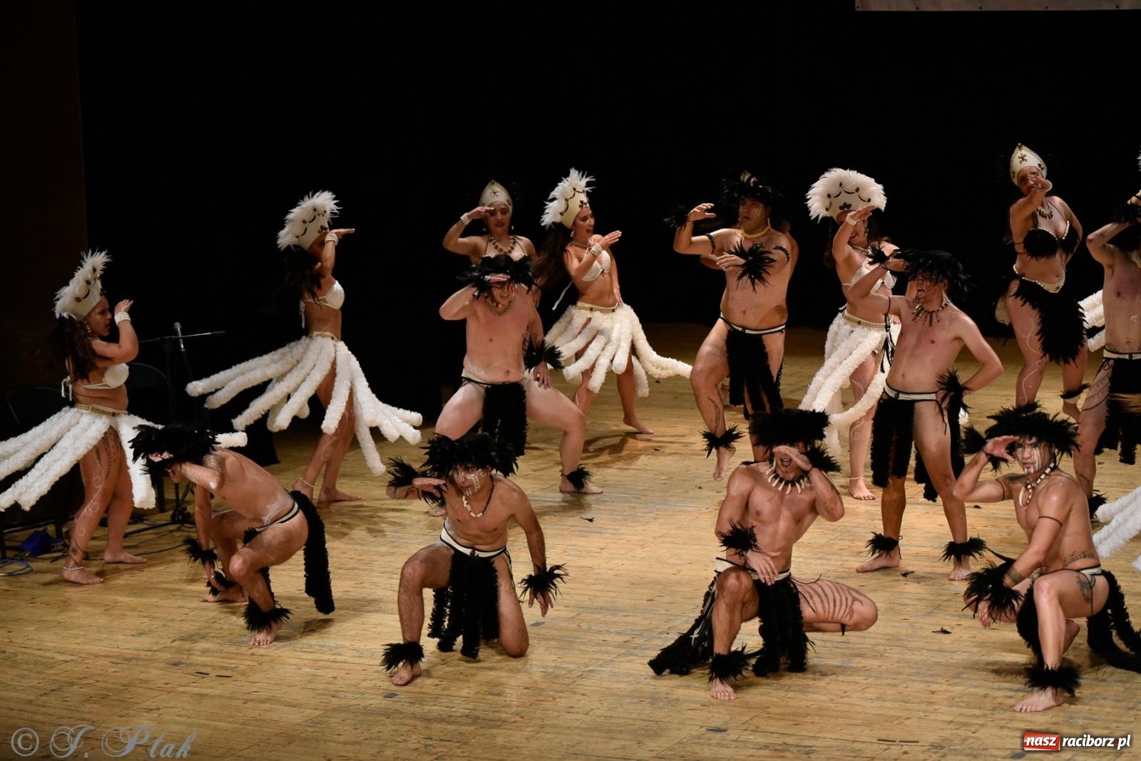 Zdjęcie w galerii na portalu naszraciborz.pl: RCK pełen żywiołów. Zespoły z Ekwadoru, Chile i Turcji w Raciborzu wiadomości z regionu