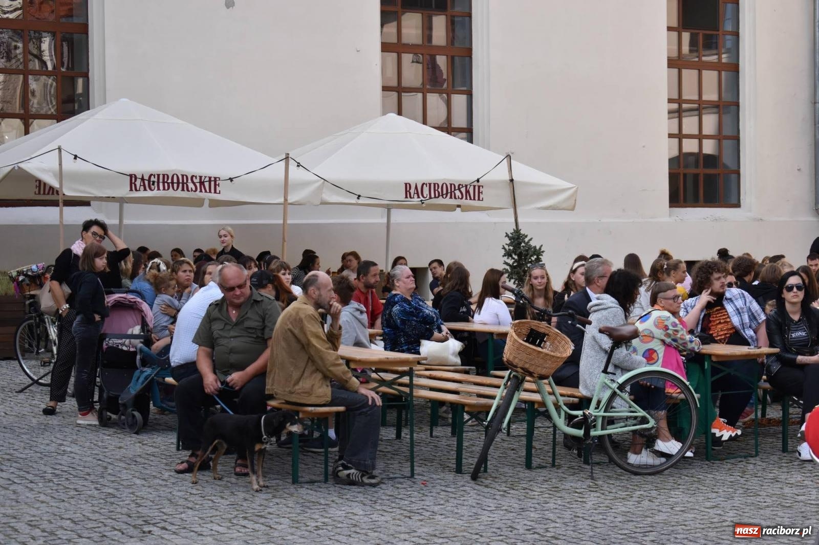Zdjęcie w galerii na portalu naszraciborz.pl: Ballady i romanse, czyli Narodowe Czytanie na raciborskim zamku [FOTO i WIDEO] wiadomości z regionu