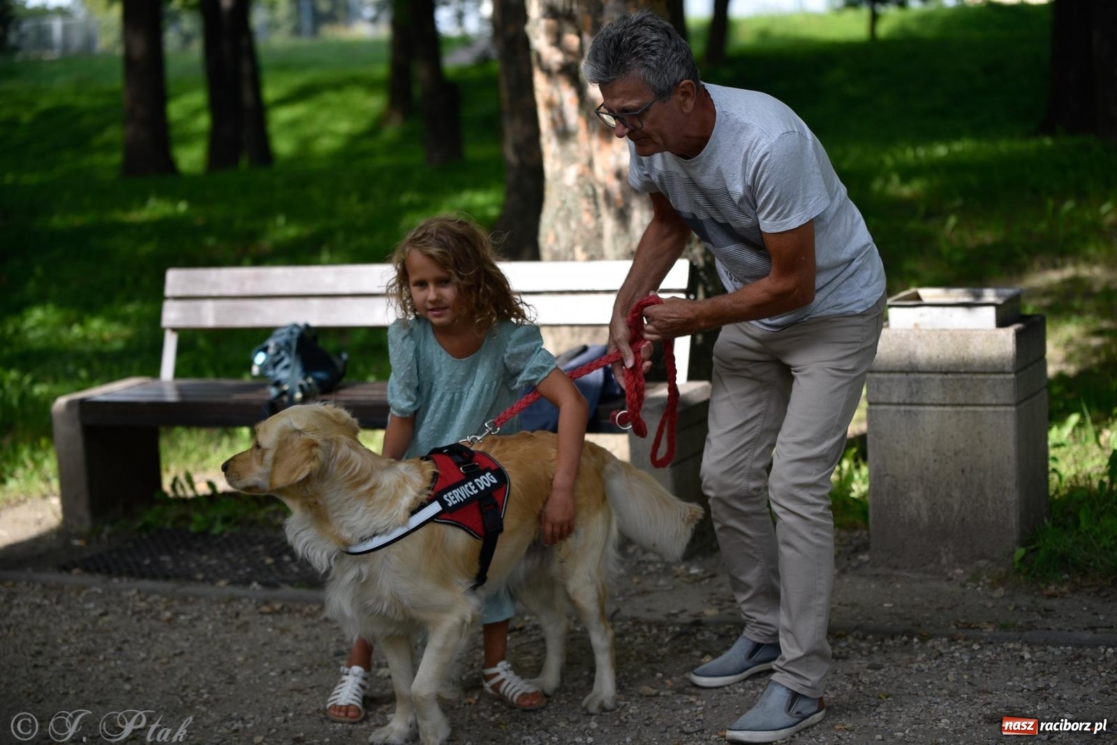 Zdjęcie w galerii na portalu naszraciborz.pl: Pieska plaża w Raciborzu. Miłośnicy czworonogów nad Odrą [FOTO i WIDEO] wiadomości z regionu