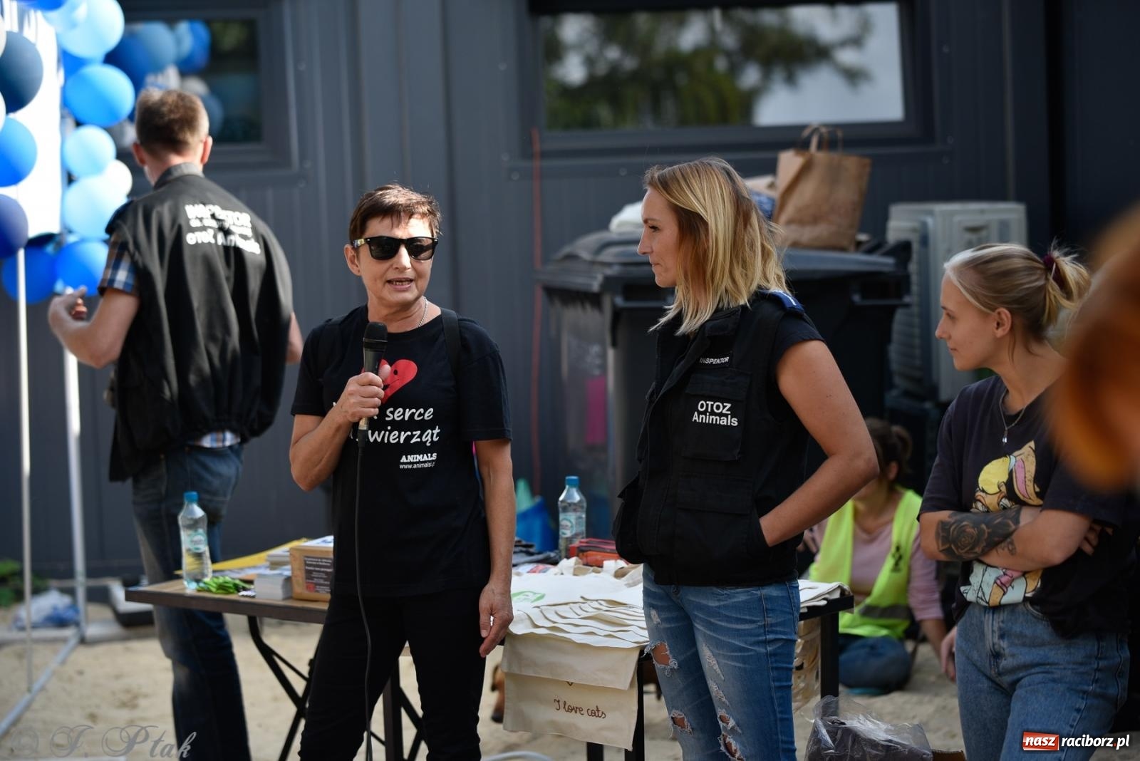 Zdjęcie w galerii na portalu naszraciborz.pl: Pieska plaża w Raciborzu. Miłośnicy czworonogów nad Odrą [FOTO i WIDEO] wiadomości z regionu
