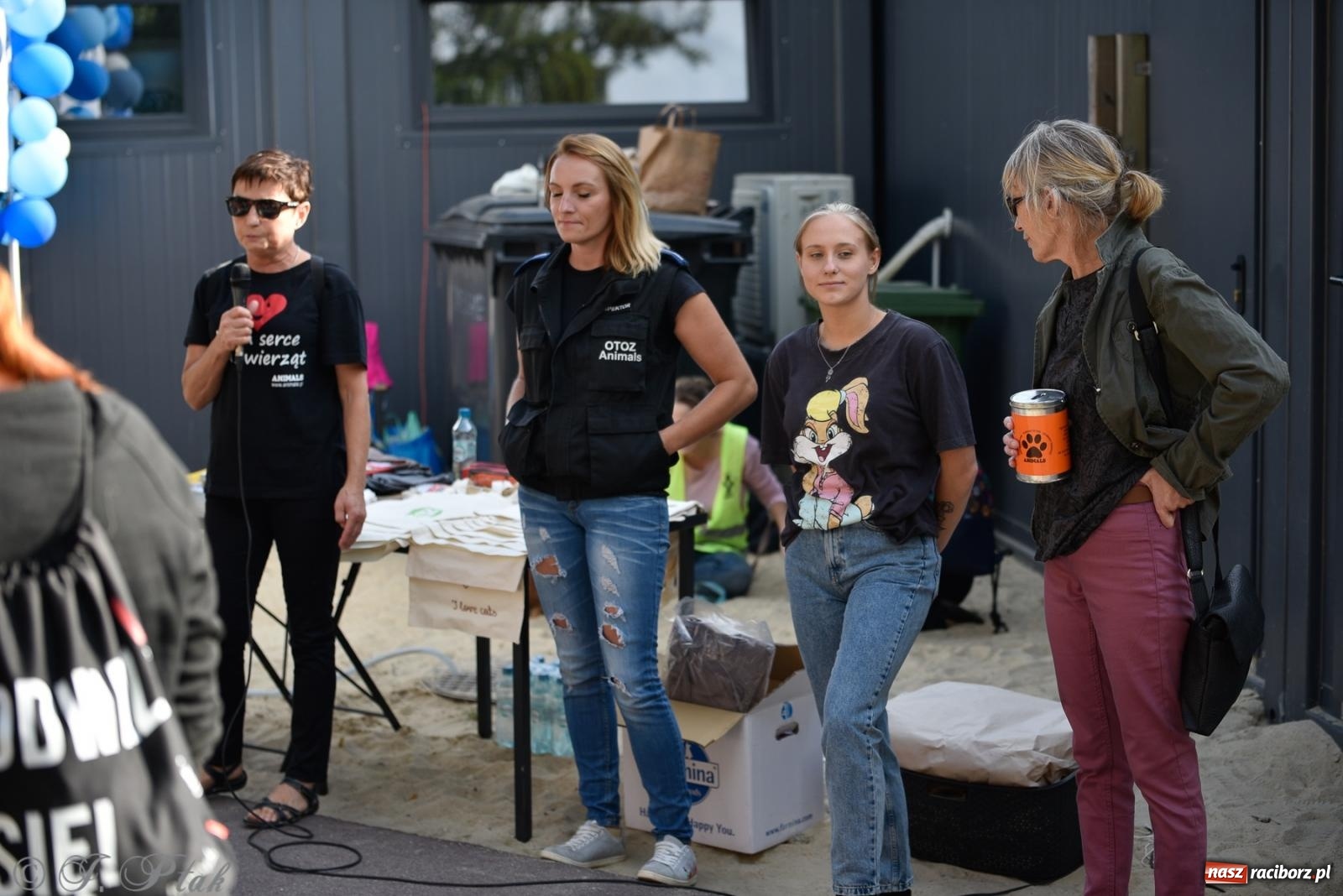 Zdjęcie w galerii na portalu naszraciborz.pl: Pieska plaża w Raciborzu. Miłośnicy czworonogów nad Odrą [FOTO i WIDEO] wiadomości z regionu
