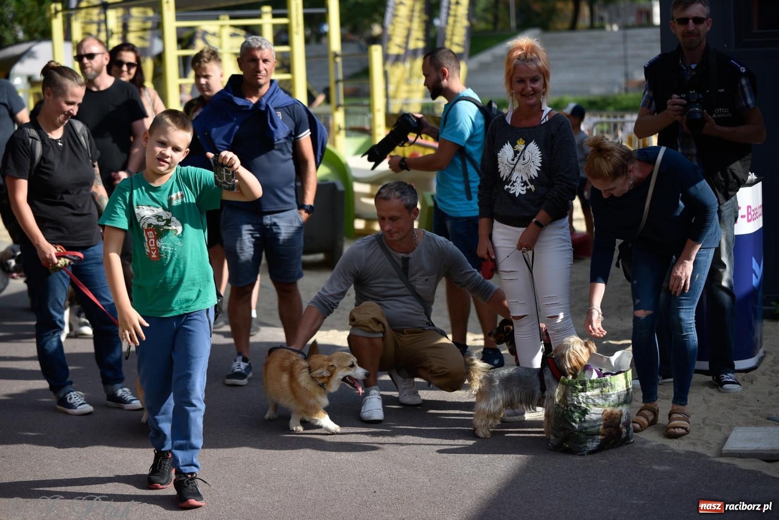 Zdjęcie w galerii na portalu naszraciborz.pl: Pieska plaża w Raciborzu. Miłośnicy czworonogów nad Odrą [FOTO i WIDEO] wiadomości z regionu
