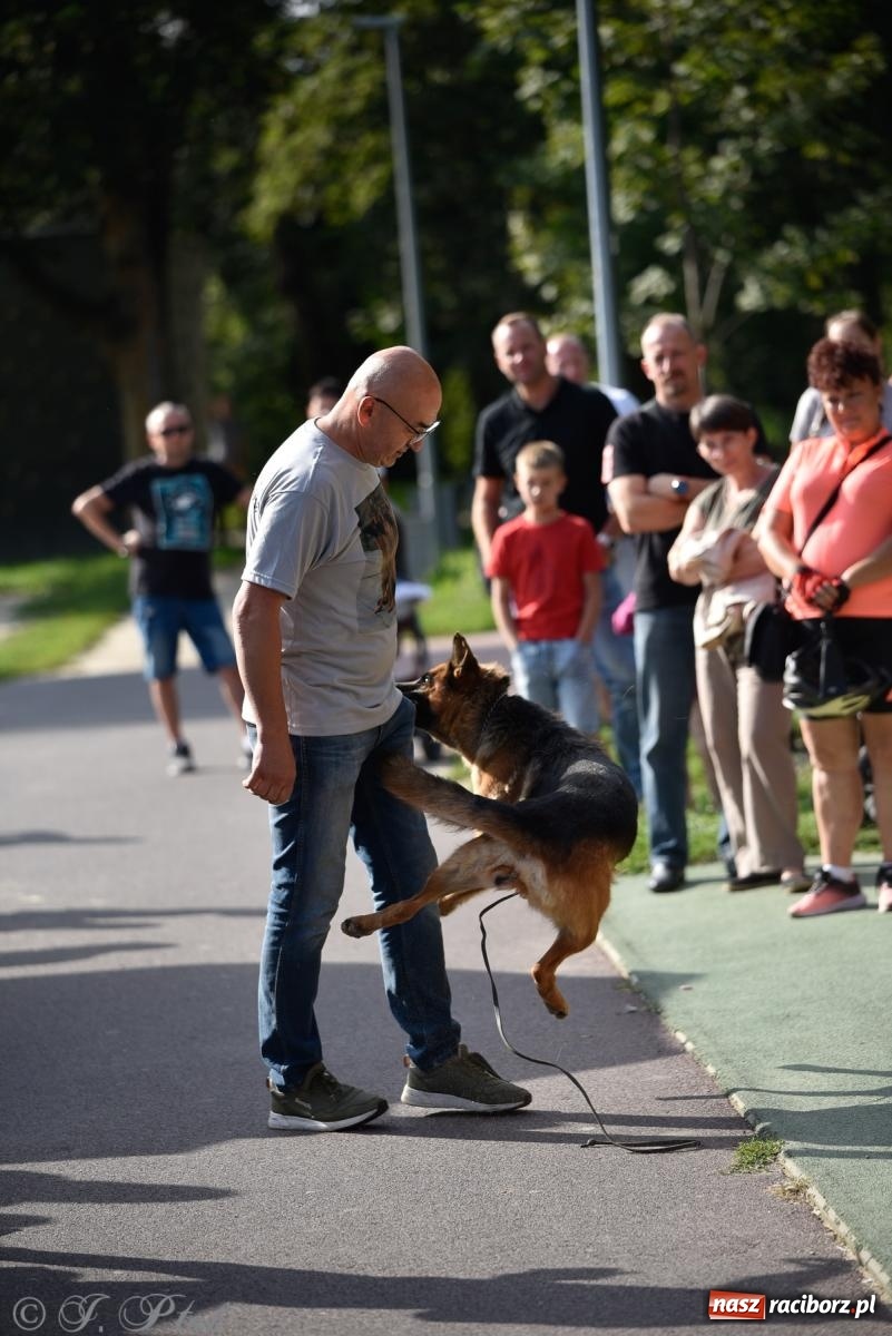 Zdjęcie w galerii na portalu naszraciborz.pl: Pieska plaża w Raciborzu. Miłośnicy czworonogów nad Odrą [FOTO i WIDEO] wiadomości z regionu
