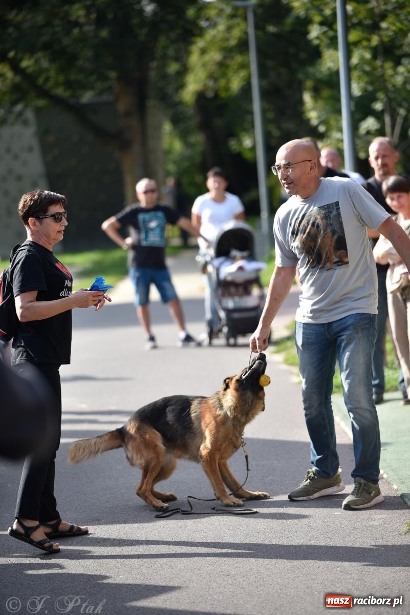 Zdjęcie w galerii na portalu naszraciborz.pl: Pieska plaża w Raciborzu. Miłośnicy czworonogów nad Odrą [FOTO i WIDEO] wiadomości z regionu